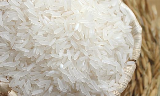 Basmati Rice_ Jasmine Rice_ Long Grain Rice_ Japonica Rice
